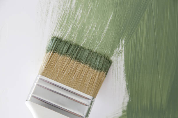 Best Environmental Consulting for Mold Prevention  in Dundee, MI