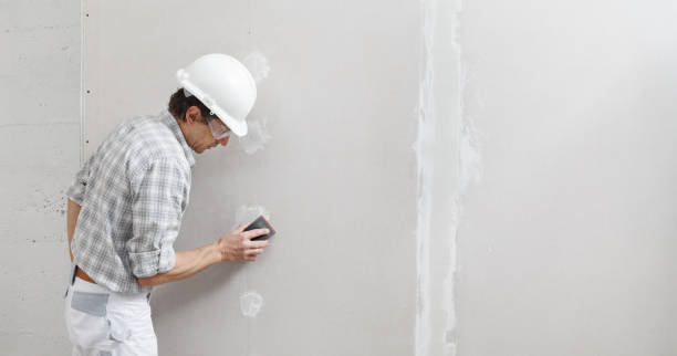 Best Mold Documentation for Insurance Claims  in Dundee, MI
