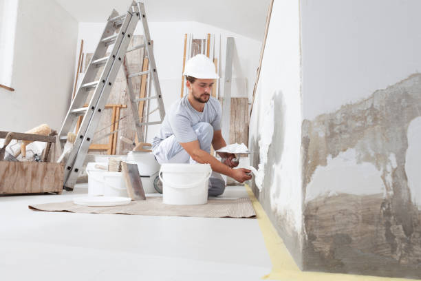 Best Mold Prevention Services  in Dundee, MI