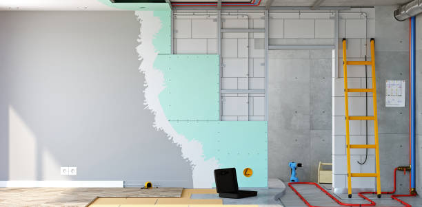 Best Real Estate Mold Inspection  in Dundee, MI