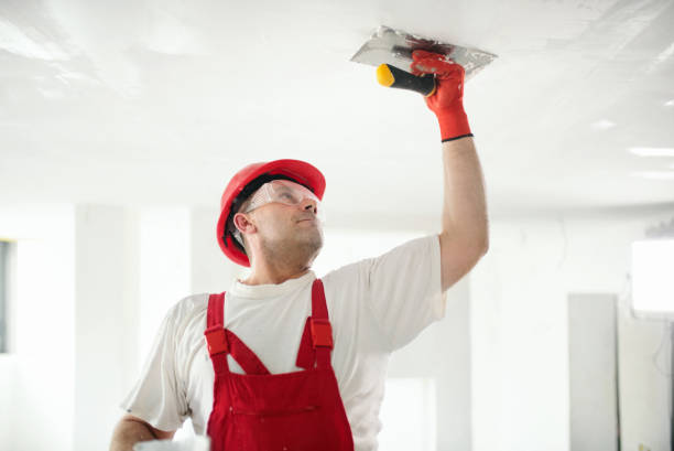 Mold Removal for HVAC Installations in Dundee, MI