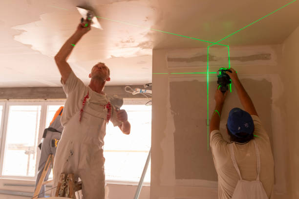 Best Attic Mold Removal  in Dundee, MI