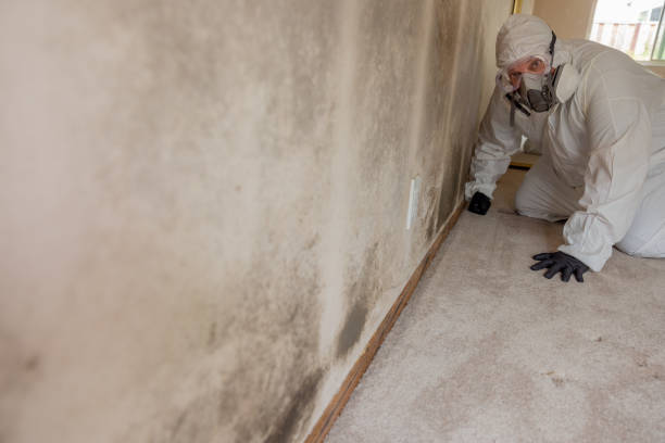 Best Post-Remediation Verification Testing  in Dundee, MI