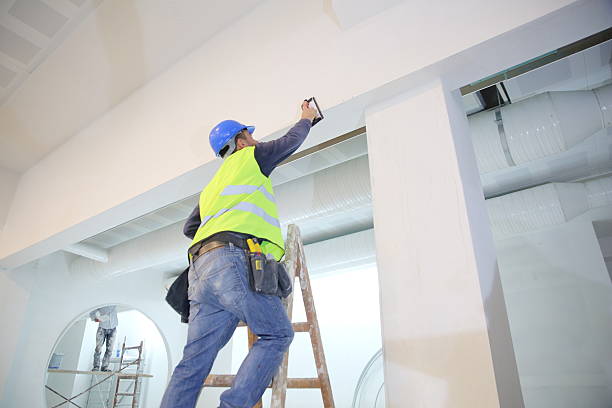 Best Post-Construction Mold Inspection  in Dundee, MI