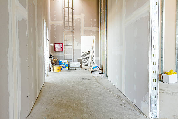  Dundee, MI Mold Removal Pros