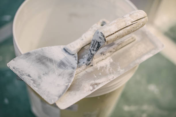 Best Mold Remediation for Healthcare Facilities  in Dundee, MI
