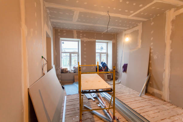 Best Comprehensive Air Testing for Mold Contaminants  in Dundee, MI