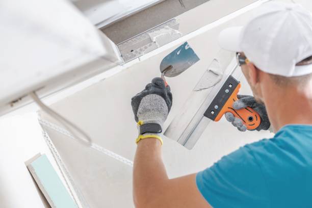 Best Mold Removal for HVAC Installations  in Dundee, MI